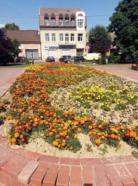 Летом Ужгород весь в цветах
