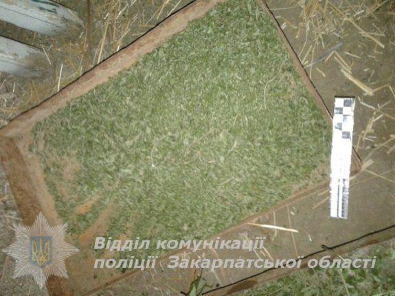 У жителя Мукачевщины правоохранители нашли наркотики