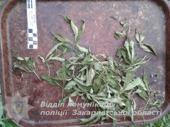 У жителя Мукачевщины правоохранители нашли наркотики