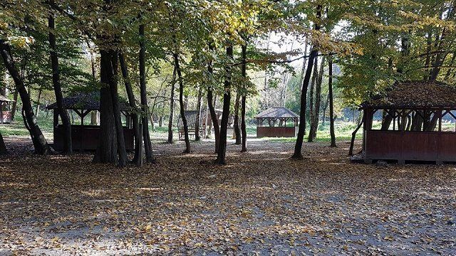 Стихийная свалка в Боздошском парке в Ужгороде
