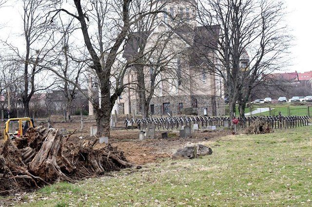 В областном центре Закарпатья территорию 100-летнего кладбища благоустроят и установят мемориал