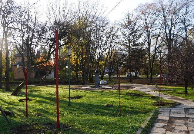 Центральную часть Ужгорода начали озеленять