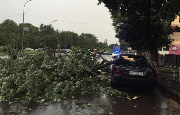 В Ужгороде на "Мерседес" упала большая ветка