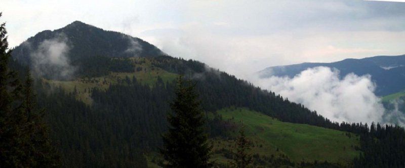 Гуцульские Альпы - живописные горы в Украинских Карпатах