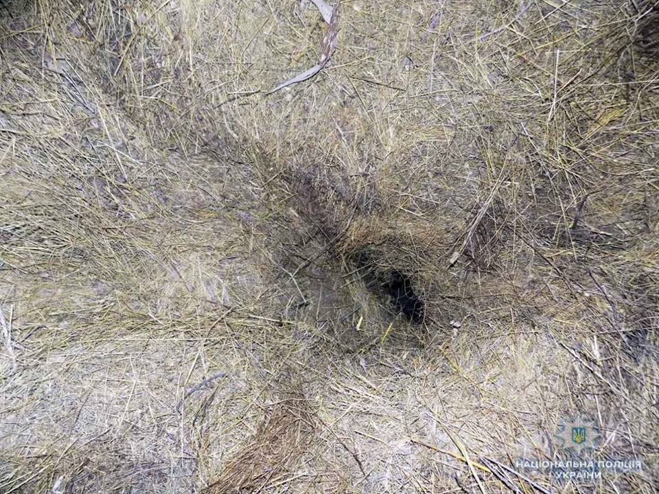 В Закарпатье 12-летний мальчик упал в глубокую яму