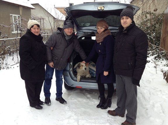 «Помоги другу» получили награду за спасние собак на ж/д в Закарпатье
