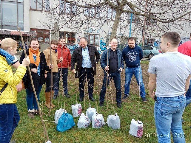 В Ужгороде высадили аллею гинкго билоба