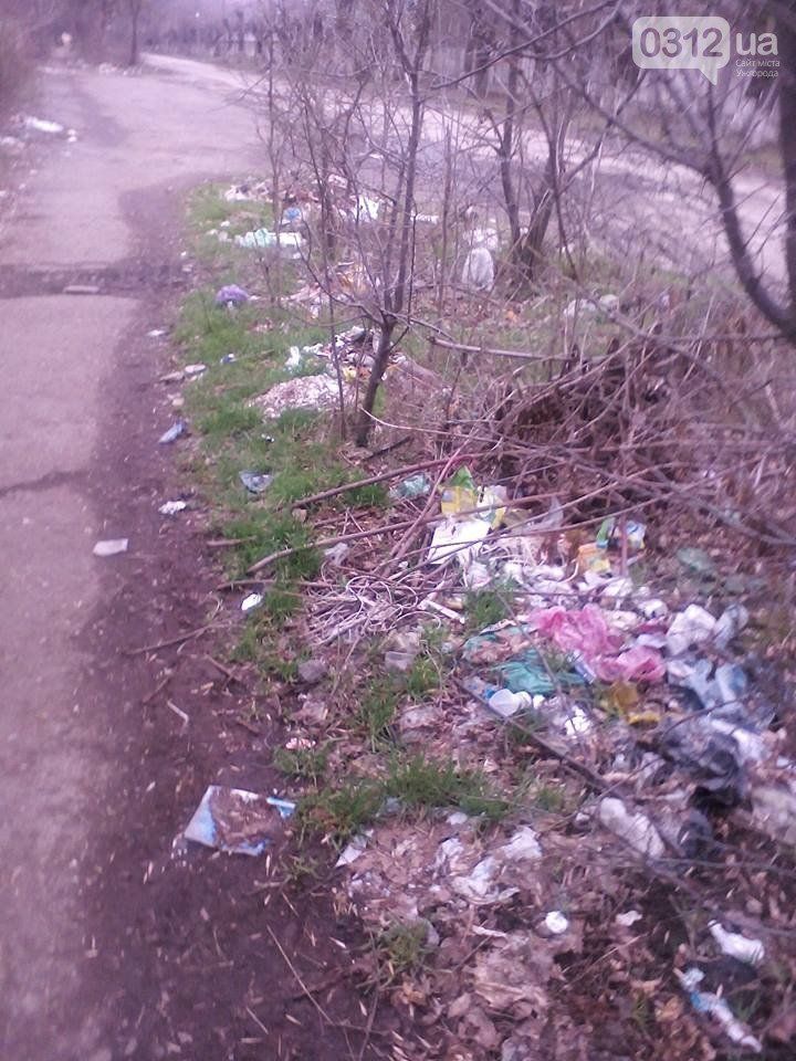 На Лаврищева лежат сугробы мусора