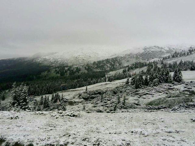 На Закарпатье выпал первый летний снег