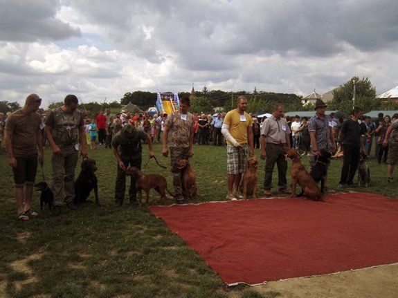 В Закарпатье прошел первый охотничий фестиваль