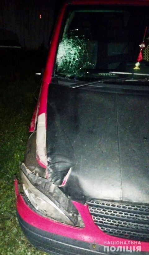 ДТП в Закарпатье: Невменяемого "гонщика", убившего девочку, посадили без залога 