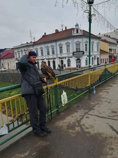 Жители Ужгорода возмутились «издевательством» над совами на пешеходном мосту