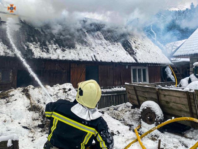 Пожар в Закарпатье: корову с теленком эвакуировали, 3 тонны сена сгорели