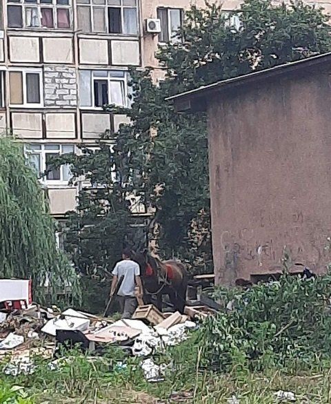В Ужгороде наказали захламляющих мусорные площадки "розбійників". 