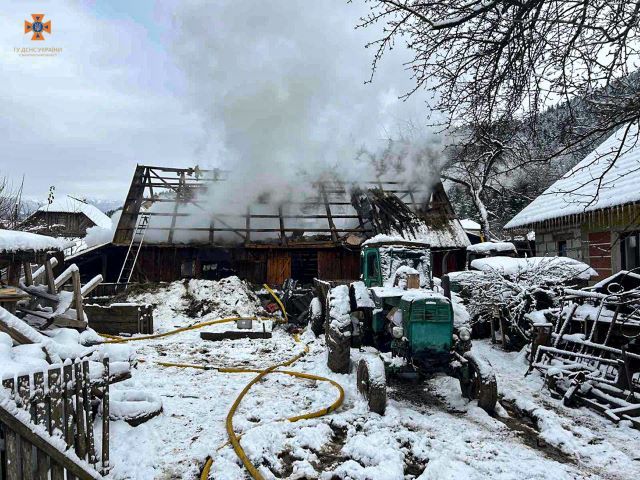 Пожар в Закарпатье: корову с теленком эвакуировали, 3 тонны сена сгорели