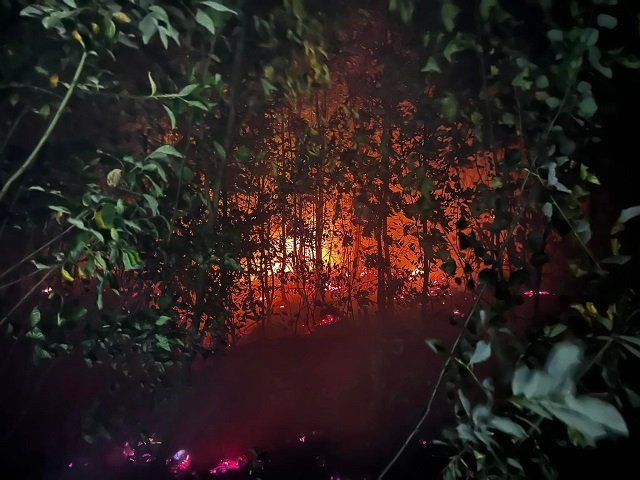 В Закарпатье в Дубриницком лесничестве бушевал пожар 