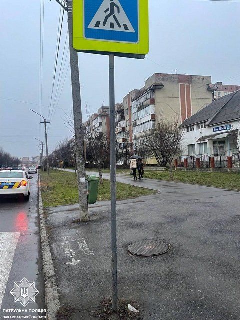 В Закарпатье пьяная "лихачка" устроила побоище с дорожными знаками