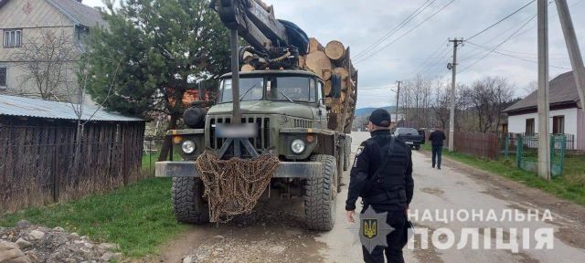 В Закарпатье "левые" документы вылезли боком черным лесорубам