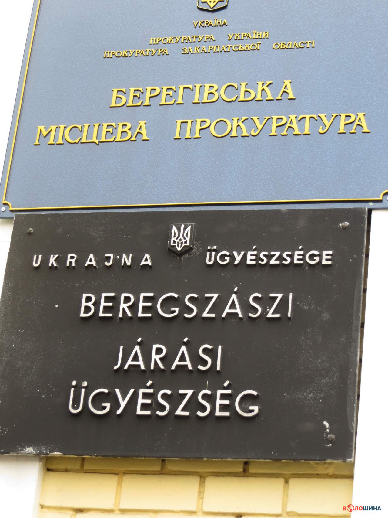 Частка угорців у Берегові становить 48,1%, а у Виноградові - 13,54%.