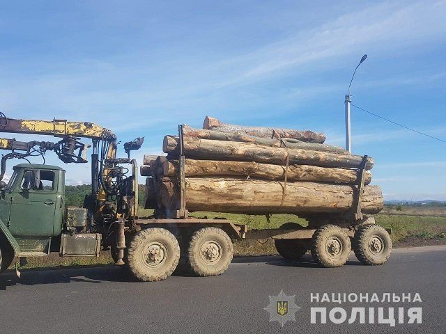В Закарпатье полиция задержала 4 грузовика с подозрительной древесиной - Буштыно