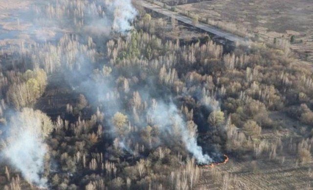 Огонь в Чернобыльской зоне бушует девятый день: Выгорело целое село