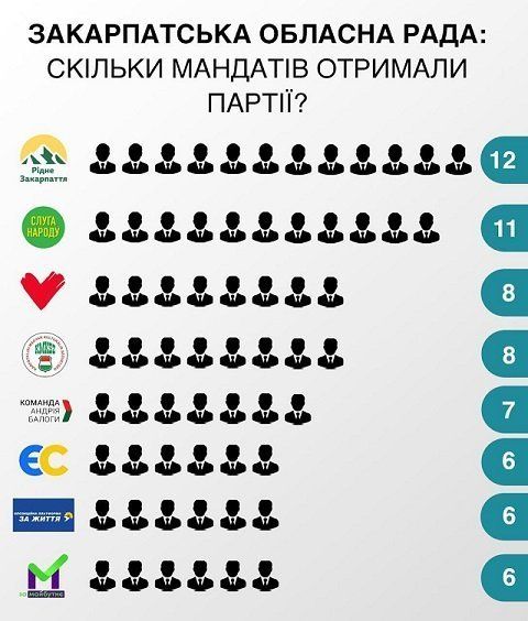 В Закарпатскую областную раду попадают 8 партий - результаты