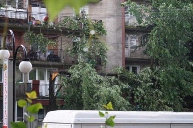 В Закарпатье прошел сильный ливень с градом: Ветер выворачивал деревья с корнями