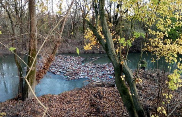 От увиденного становится жутко: В Закарпатье река Латорица утопает в мусоре