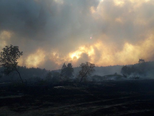 Украина в огне: В Харьковской и Луганской областях горит более 1 тысячи гектаров леса
