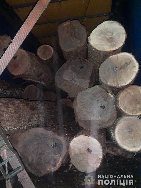 Не проскочили: В Закарпатье задержали 2 MANа полных древесины 