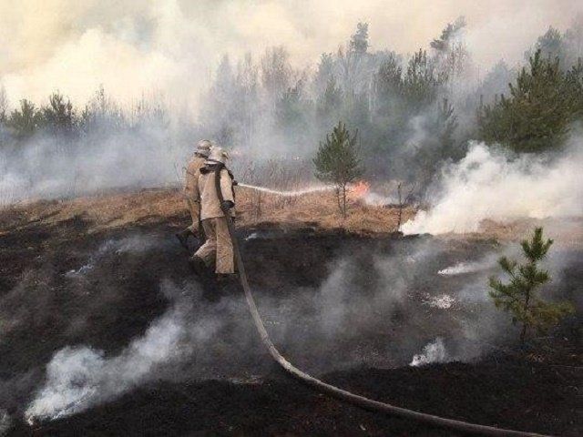 Огонь в Чернобыльской зоне бушует девятый день: Выгорело целое село