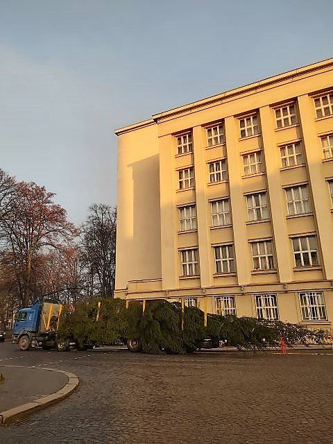 Пушистая 20-метровая елка уже в Ужгороде!