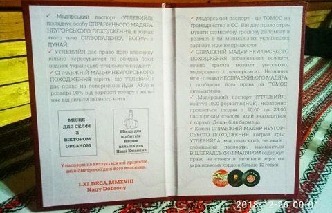 «Деца у нотаря» в Ужгороде выдает венгерские паспорта