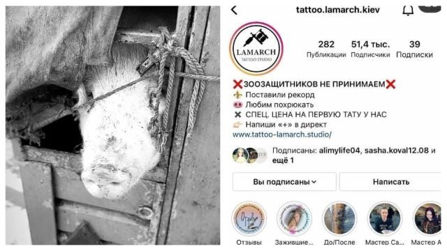 Купола на свинье: В Киеве тату-студия попала в эпицентр хайпового скандала
