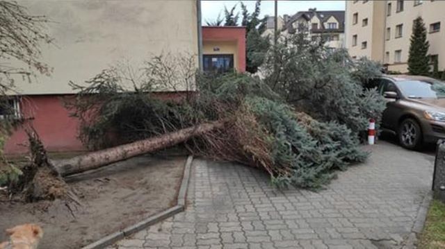 По Польше пронёсся мощный ураган : есть погибшие