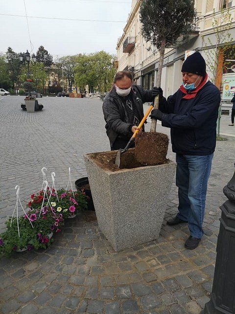 Вандализм в центре Ужгорода глубоко возмутил пользователей сети