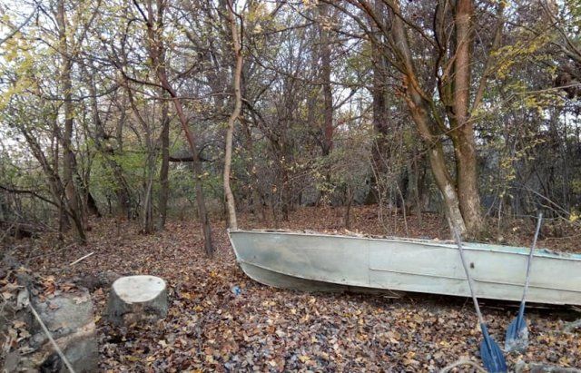 От увиденного становится жутко: В Закарпатье река Латорица утопает в мусоре