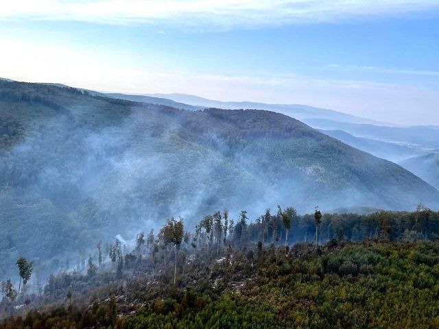 В Закарпатье на землях лесфонда третьи сутки бушует пожар