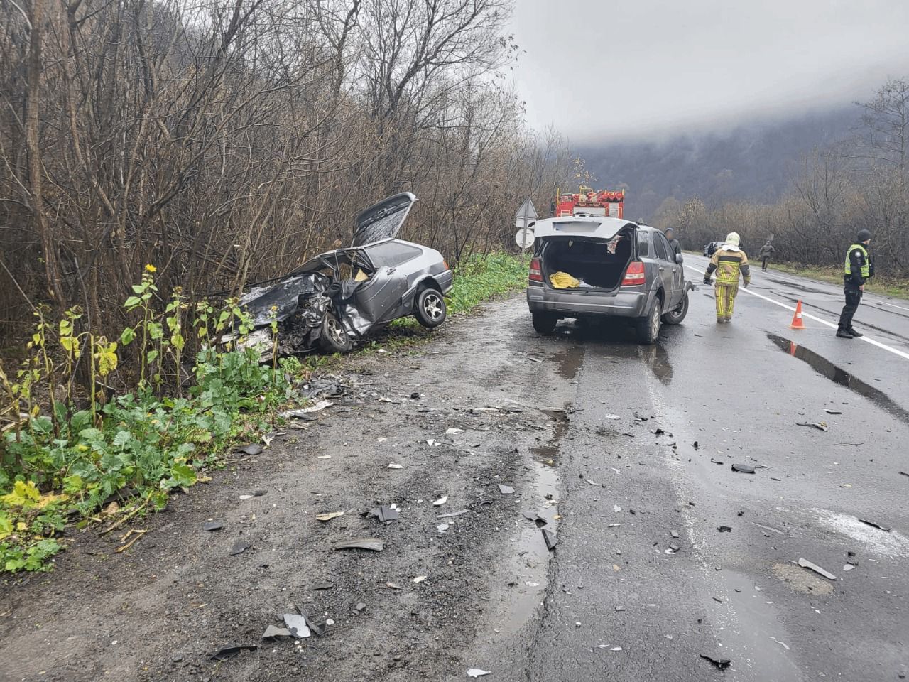 В Закарпатье водитель Kia Sorento вылетел на встречку и убил двух человек