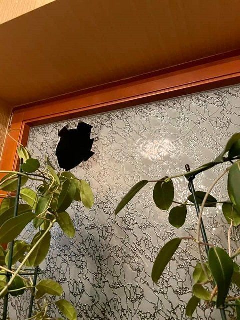 В областном центре Закарпатья дом депутата ОПЗЖ забросали кирпичами 