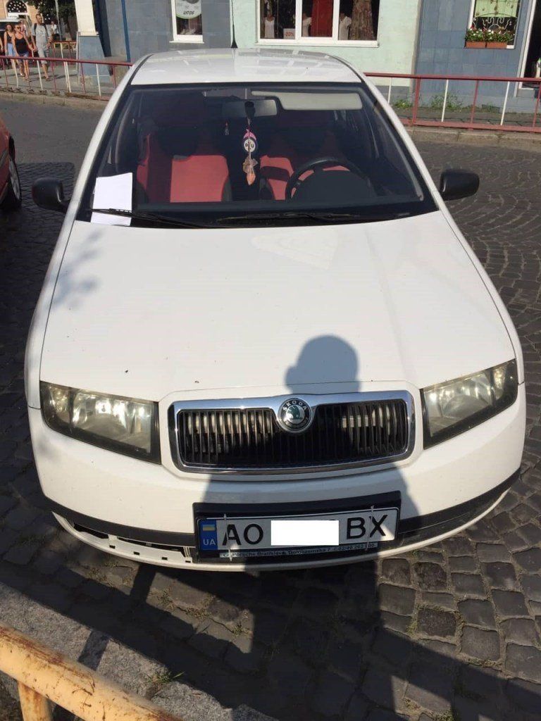 Как в Мукачево водители-нарушители получали штрафы за неправильную парковку 