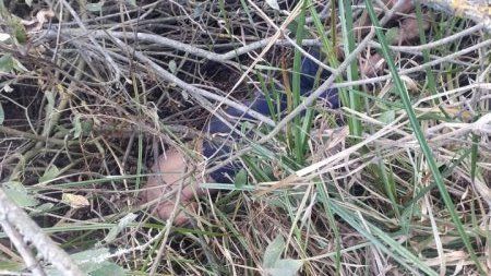 На Закарпатье в поле нашли труп человека: Новые детали 