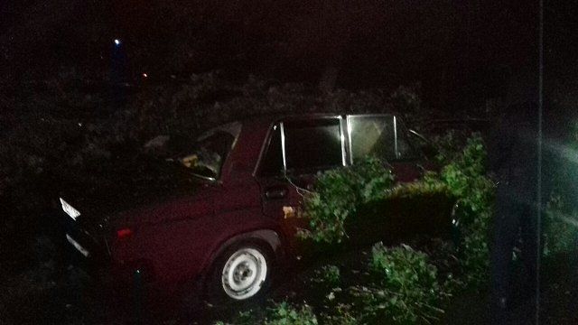Упавшие от ветра деревья повредили автомобили