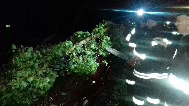 Упавшие от ветра деревья повредили автомобили