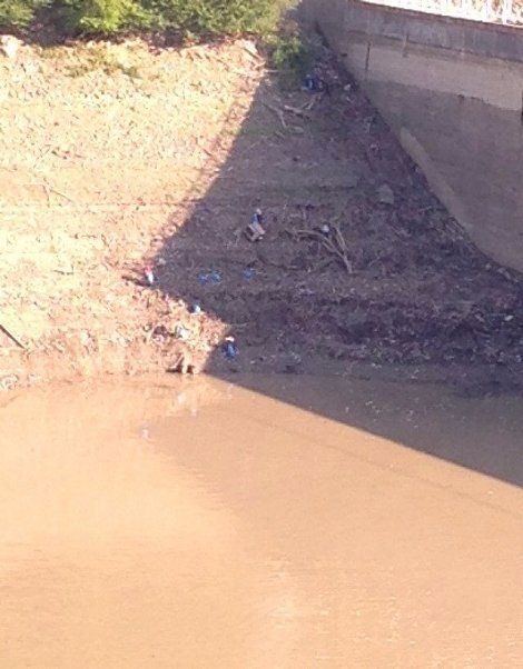 Ольшанское водохранилище вычистили от мусора