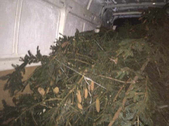 На Закарпатье в ДТП попал микроавтобус с "контрабандными" елками