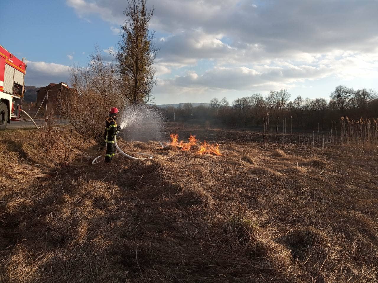 В Закарпатье с начала месяца зафиксировали почти три сотни пожаров