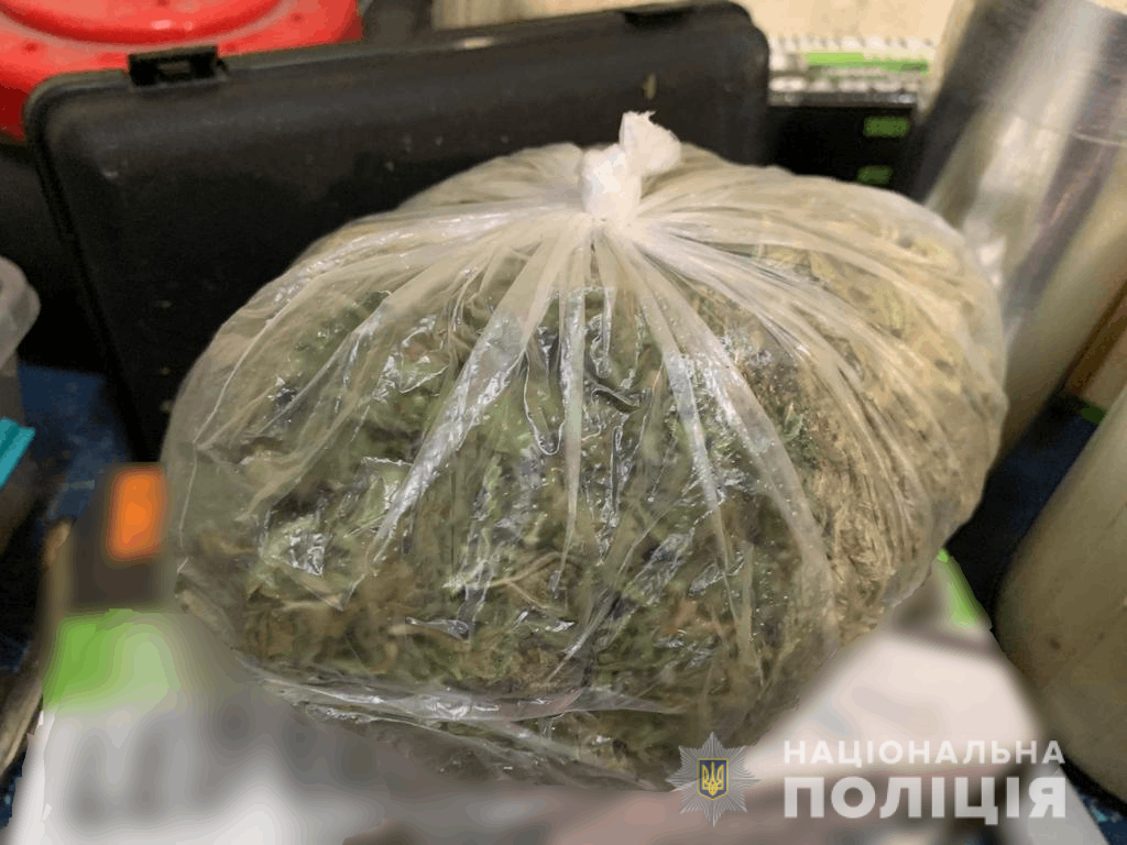 В Закарпатье накрыли наркобарыгу - изъяли неслабую партию марихуаны