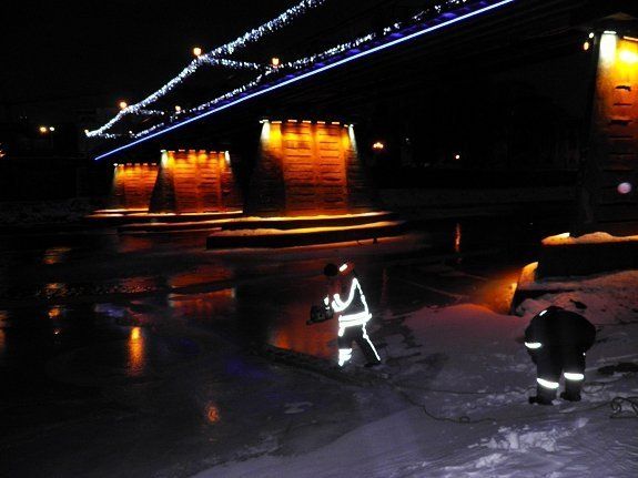 В Ужгороде спасатели освободили лебедей и уток из ледового плена