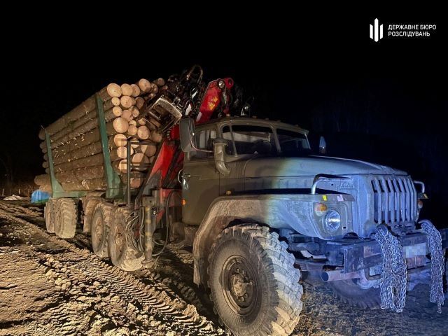 Война не помеха: В Закарпатье чиновников поймали на незаконной торговле лесом 